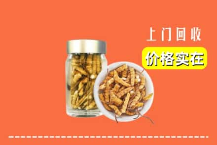 收购资讯:魏都区回收散虫草