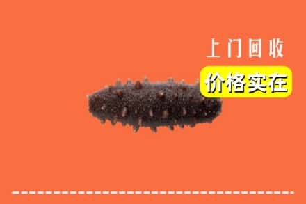 收购资讯:魏都区回收海参
