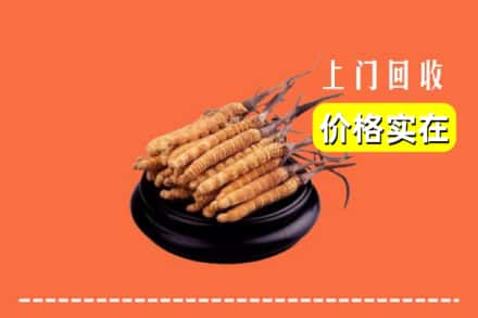 魏都区回收冬虫夏草